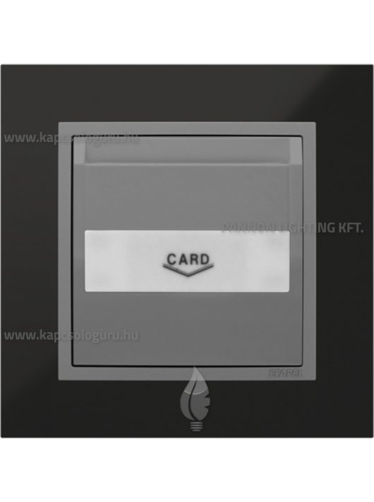 Hotelkártya kapcsoló, 10A, IP20, szürke fedőlappal és Metallo nikkel kerettel - EFAPEL LOGUS 90