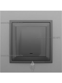   Kábelkivezető 3 vezetéknek és fedőlap, IP20, szürke fedőlappal és Animato alumínium kerettel - EFAPEL LOGUS 90