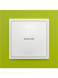   Vakfedél és fedőlap, IP20, jégfehér fedőlappal és Animato zöld kerettel - EFAPEL LOGUS 90