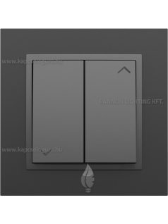   Redőnynyomó fedőlappal, 10A, IP20, szürke fedőlappal és Animato fekete kerettel - EFAPEL LOGUS 90