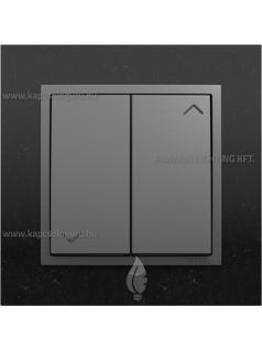   Redőnynyomó fedőlappal, 10A, IP20, szürke fedőlappal és Metallo nikkel kerettel - EFAPEL LOGUS 90