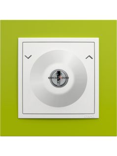   Váltókapcsoló (106), kulcsos, 10A , IP20, jégfehér fedőlappal és Animato zöld kerettel - EFAPEL LOGUS 90