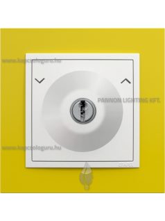   Váltókapcsoló (106), kulcsos, 10A , IP20, jégfehér fedőlappal és Animato sárga kerettel - EFAPEL LOGUS 90