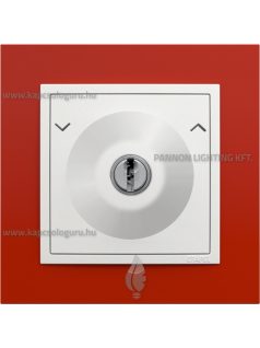   Váltókapcsoló (106), kulcsos, 10A , IP20, jégfehér fedőlappal és Animato vörös kerettel - EFAPEL LOGUS 90