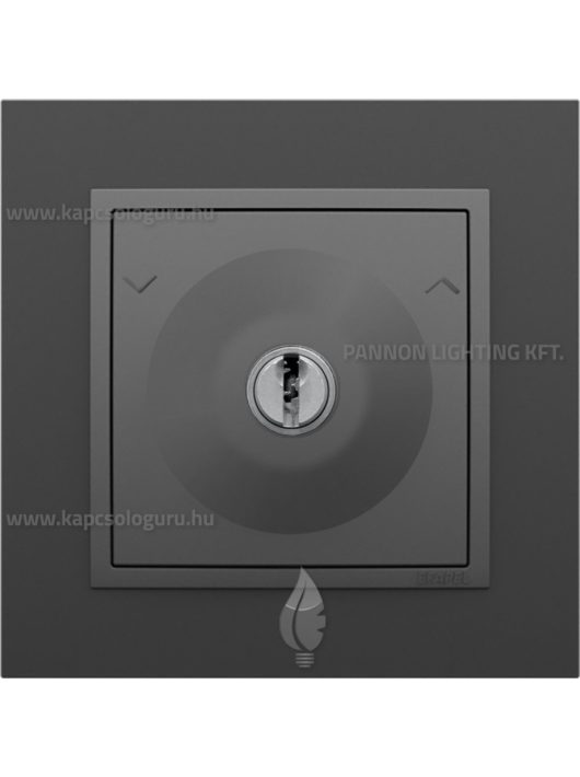 Váltókapcsoló (106), kulcsos, 10A , IP20, szürke fedőlappal és Animato fekete kerettel - EFAPEL LOGUS 90
