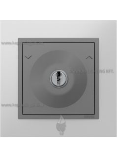   Nyomókapcsoló (101N), kulcsos, 10A, IP20, szürke fedőlappal és Metallo alumínium kerettel - EFAPEL LOGUS 90