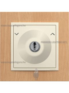   Nyomókapcsoló (101N), kulcsos, 10A, IP20, gyöngyházfehér fedőlappal és Arbore bükk 1-es kerettel - EFAPEL LOGUS 90