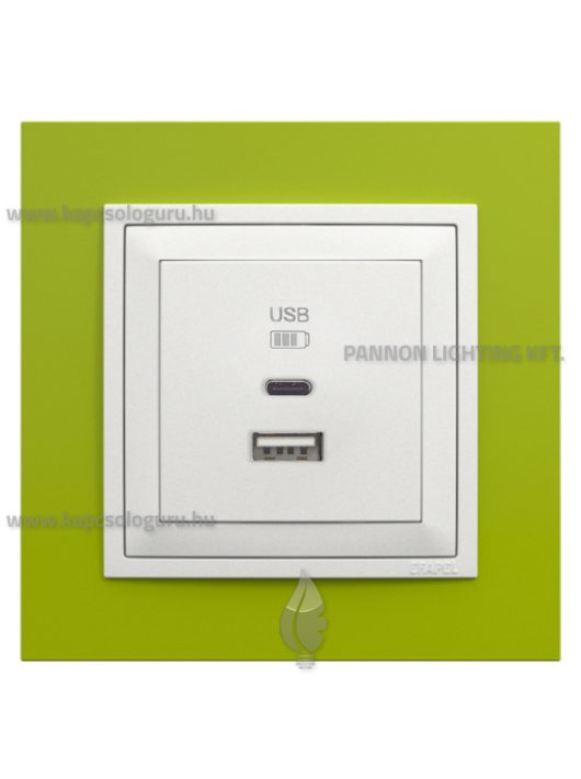 USB A+C töltő aljzat - 3A, IP20, jégfehér fedőlappal és Animato zöld kerettel - EFAPEL LOGUS 90