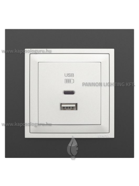USB A+C töltő aljzat - 3A, IP20, jégfehér fedőlappal és Animato fekete kerettel - EFAPEL LOGUS 90