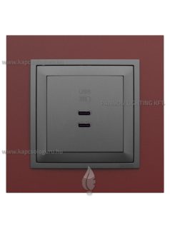   USB C töltő aljzat, Dupla - 3A, IP20, szürke fedőlappal és Animato bíbor kerettel - EFAPEL LOGUS 90