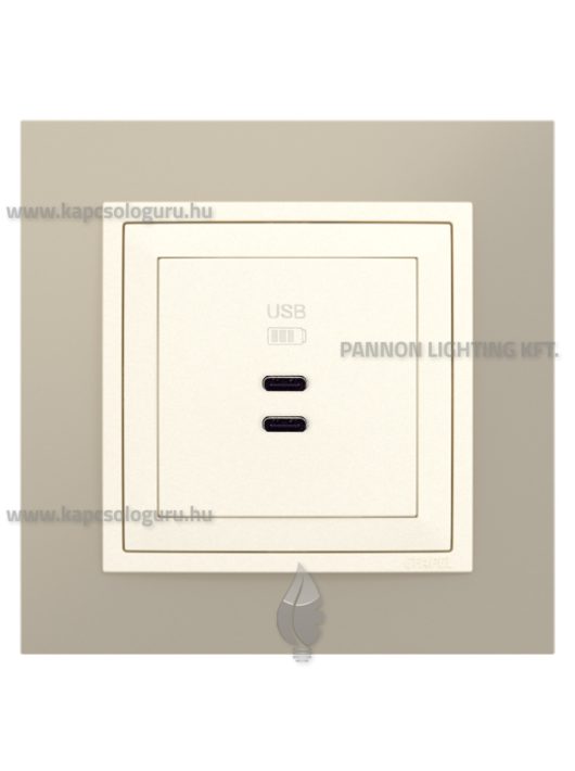 USB C töltő aljzat, Dupla - 3A, IP20, gyöngyházfehér fedőlappal és Metallo titánium kerettel - EFAPEL LOGUS 90