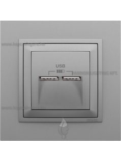   USB töltő aljzat, Dupla - 2,4A, IP20, Animato alumínium fedőlappal és 1-es kerettel - EFAPEL LOGUS 90