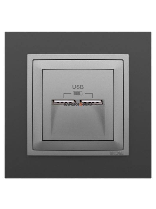 USB töltő aljzat, Dupla - 2,4A, IP20, alumínium fedőlappal és Animato fekete 1-es kerettel - EFAPEL LOGUS 90