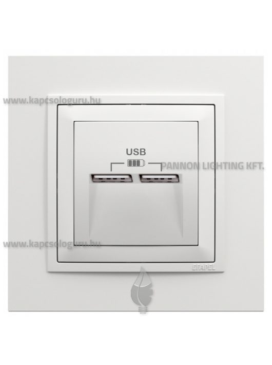 USB töltő aljzat, Dupla - 2,4A, IP20, fehér fedőlappal és Animato 1-es kerettel - EFAPEL LOGUS 90