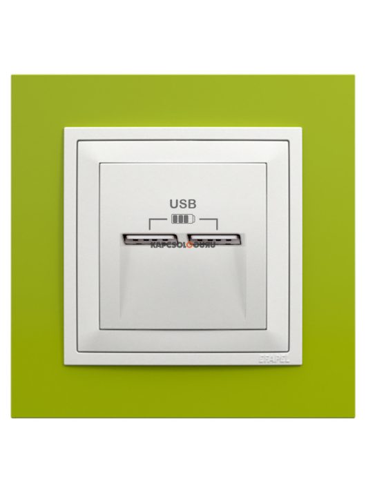 USB töltő aljzat, Dupla - 2,4A, IP20, jégfehér fedőlappal és Animato zöld kerettel - EFAPEL LOGUS 90