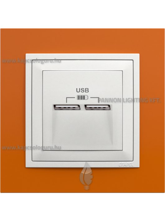 USB töltő aljzat, Dupla - 2,4A, IP20, jégfehér fedőlappal és Animato narancssárga kerettel - EFAPEL LOGUS 90