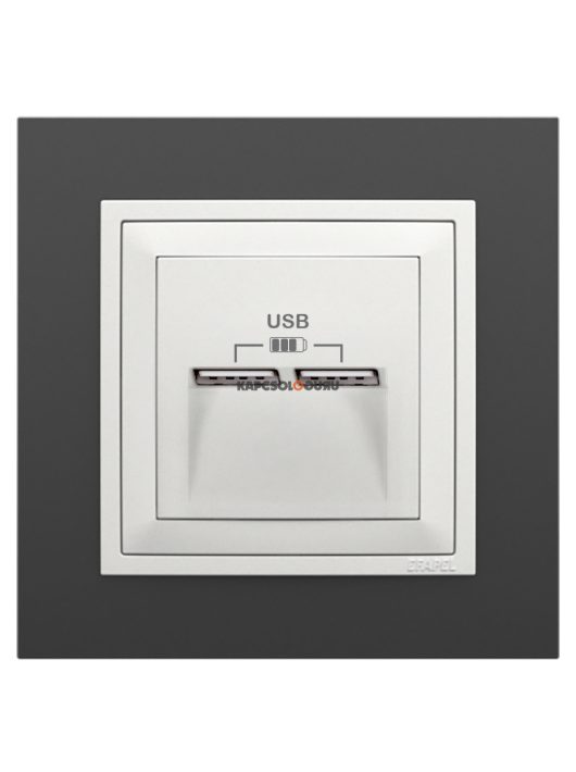 USB töltő aljzat, Dupla - 2,4A, IP20, jégfehér fedőlappal és Animato fekete kerettel - EFAPEL LOGUS 90