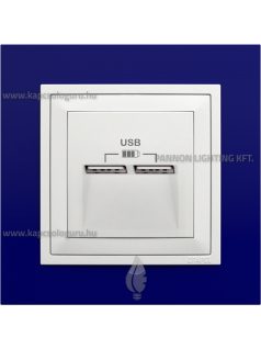   USB töltő aljzat, Dupla - 2,4A, IP20, jégfehér fedőlappal és Animato kék kerettel - EFAPEL LOGUS 90