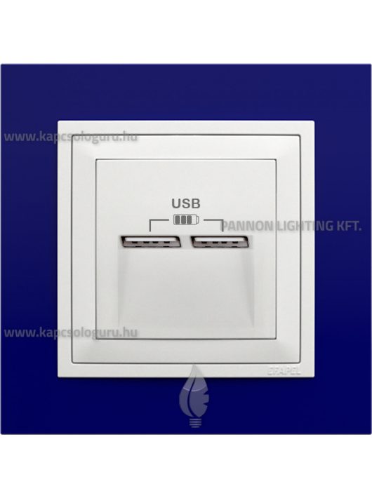 USB töltő aljzat, Dupla - 2,4A, IP20, jégfehér fedőlappal és Animato kék kerettel - EFAPEL LOGUS 90