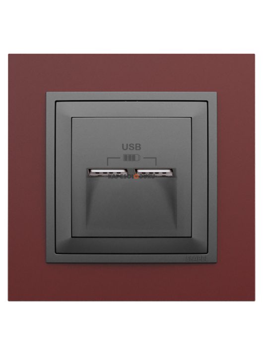 USB töltő aljzat, Dupla - 2,4A, IP20, szürke fedőlappal és Animato bíbor kerettel - EFAPEL LOGUS 90