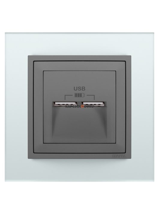 USB töltő aljzat, Dupla - 2,4A, IP20, szürke fedőlappal és Crystal üveg kerettel - EFAPEL LOGUS 90
