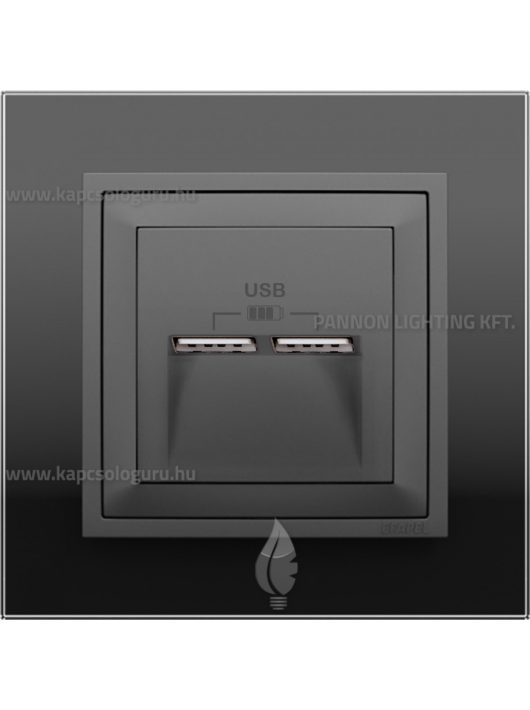 USB töltő aljzat, Dupla - 2,4A, IP20, szürke fedőlappal és Crystal fekete üveg kerettel - EFAPEL LOGUS 90