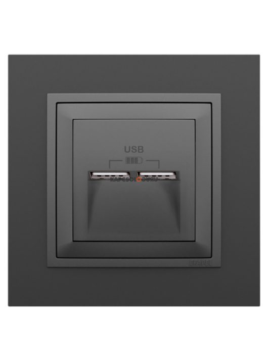 USB töltő aljzat, Dupla - 2,4A, IP20, szürke fedőlappal és Animato fekete kerettel - EFAPEL LOGUS 90