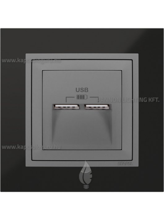 USB töltő aljzat, Dupla - 2,4A, IP20, szürke fedőlappal és Metallo nikkel kerettel - EFAPEL LOGUS 90
