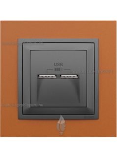   USB töltő aljzat, Dupla - 2,4A, IP20, szürke fedőlappal és Animato téglavörös kerettel - EFAPEL LOGUS 90
