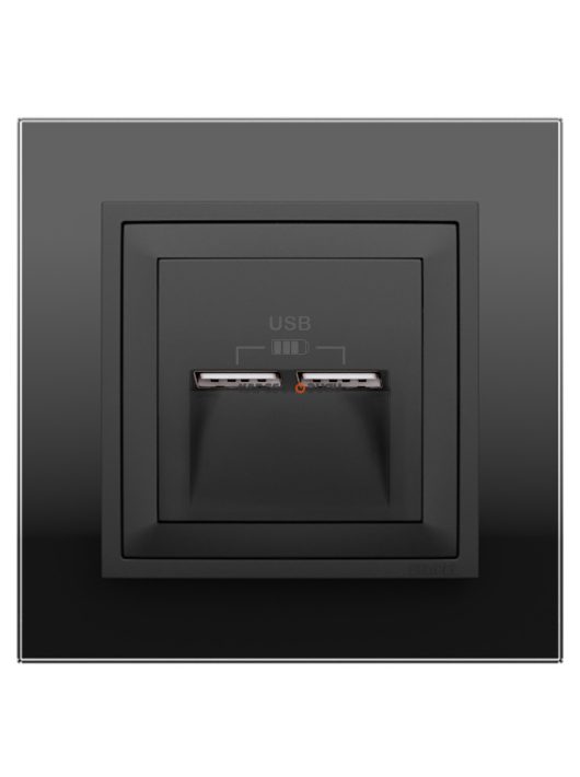 USB töltő aljzat, Dupla - 2,4A, IP20, fekete fedőlappal és Crystal fekete üveg 1-es kerettel - EFAPEL LOGUS 90