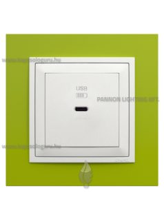   USB C gyorstöltő aljzat - 30W, IP20, jégfehér fedőlappal és Animato zöld kerettel - EFAPEL LOGUS 90