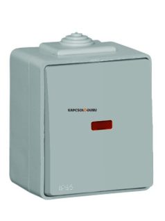   Egypólusú kapcsoló (101), falon kívüli, ellenőrzőfényes, 16A, IP65, szürke - EFAPEL WATERPROOF 48